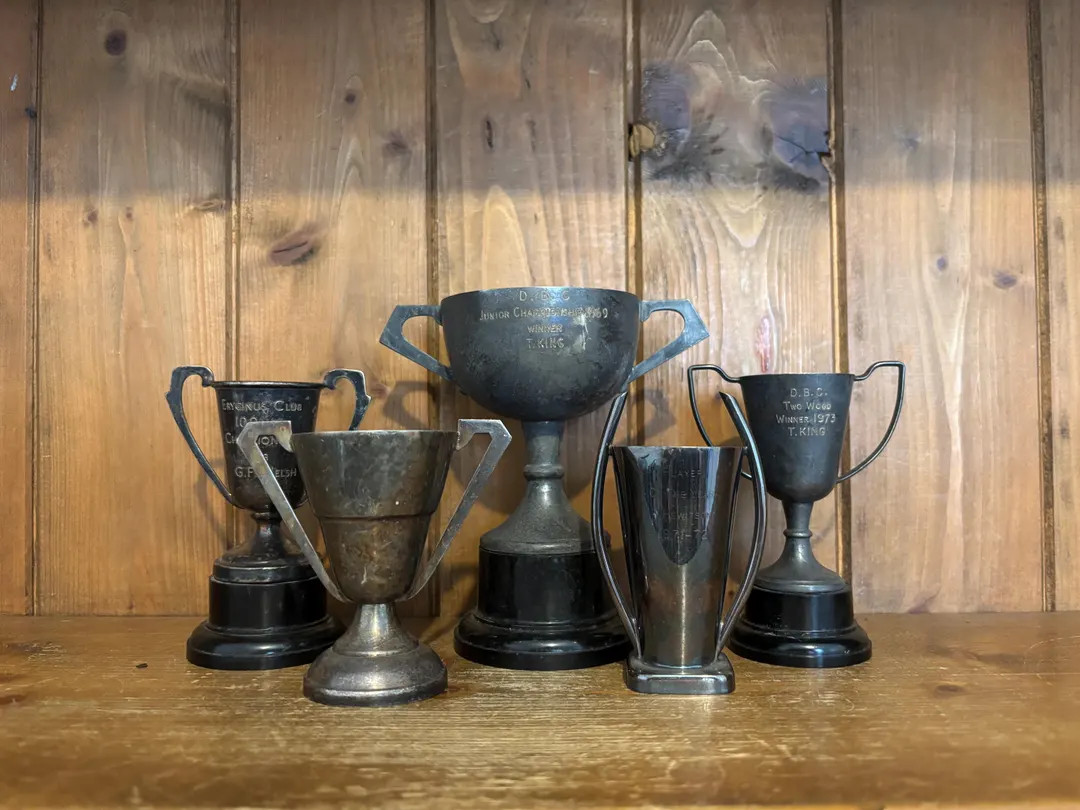 5 Vintage Trophies (222) Silver Plate Trophies, Small Trophy, Trophies, Sporting Items, Sports, C... | Etsy (US)