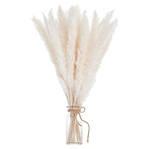 45cm Natural Dried Pampas Grass 30 Pcs for Flower Arrangements Home Decor (White) | Amazon (US)