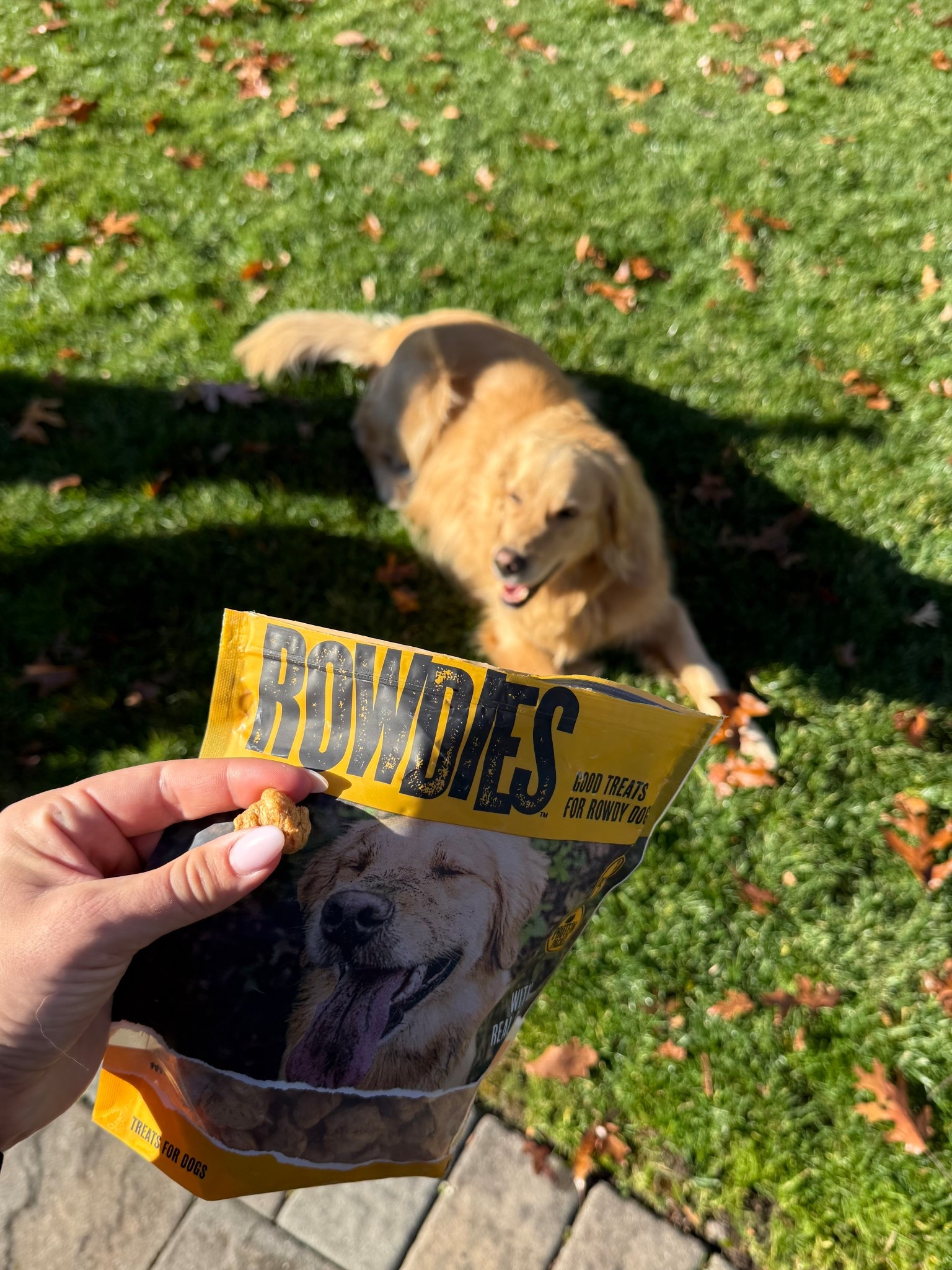 @RowdiesDogTreats ! #ad @target #TargetPartner #Target #GetRowdies