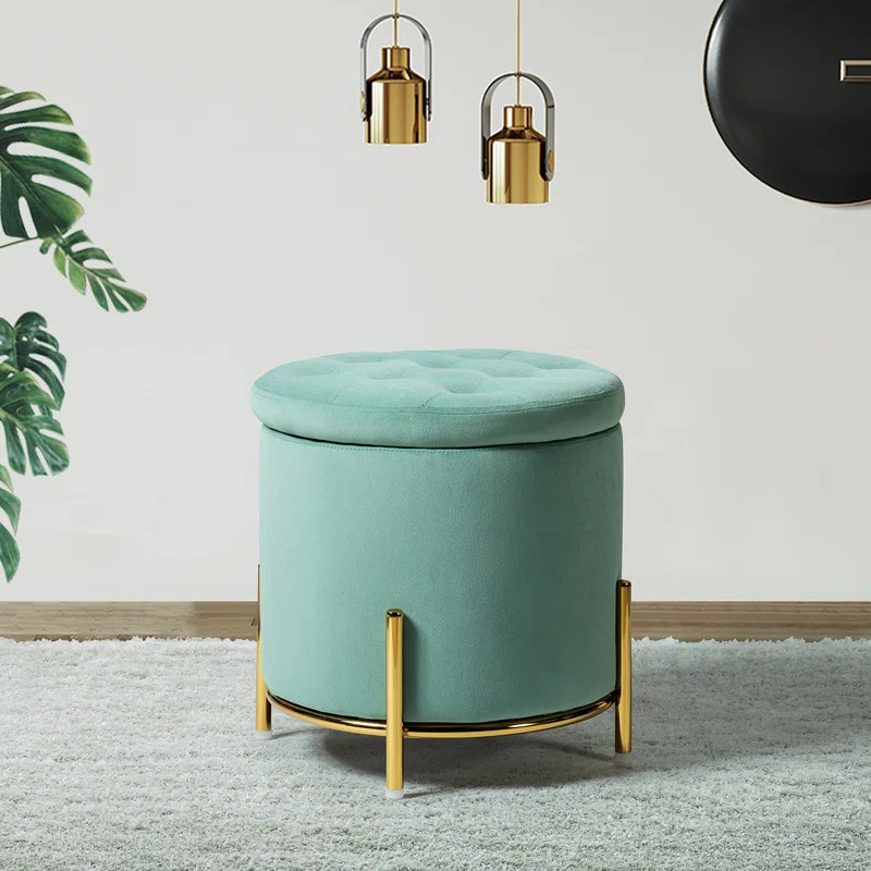 Alejandro Upholstered Storage Ottoman | Wayfair North America