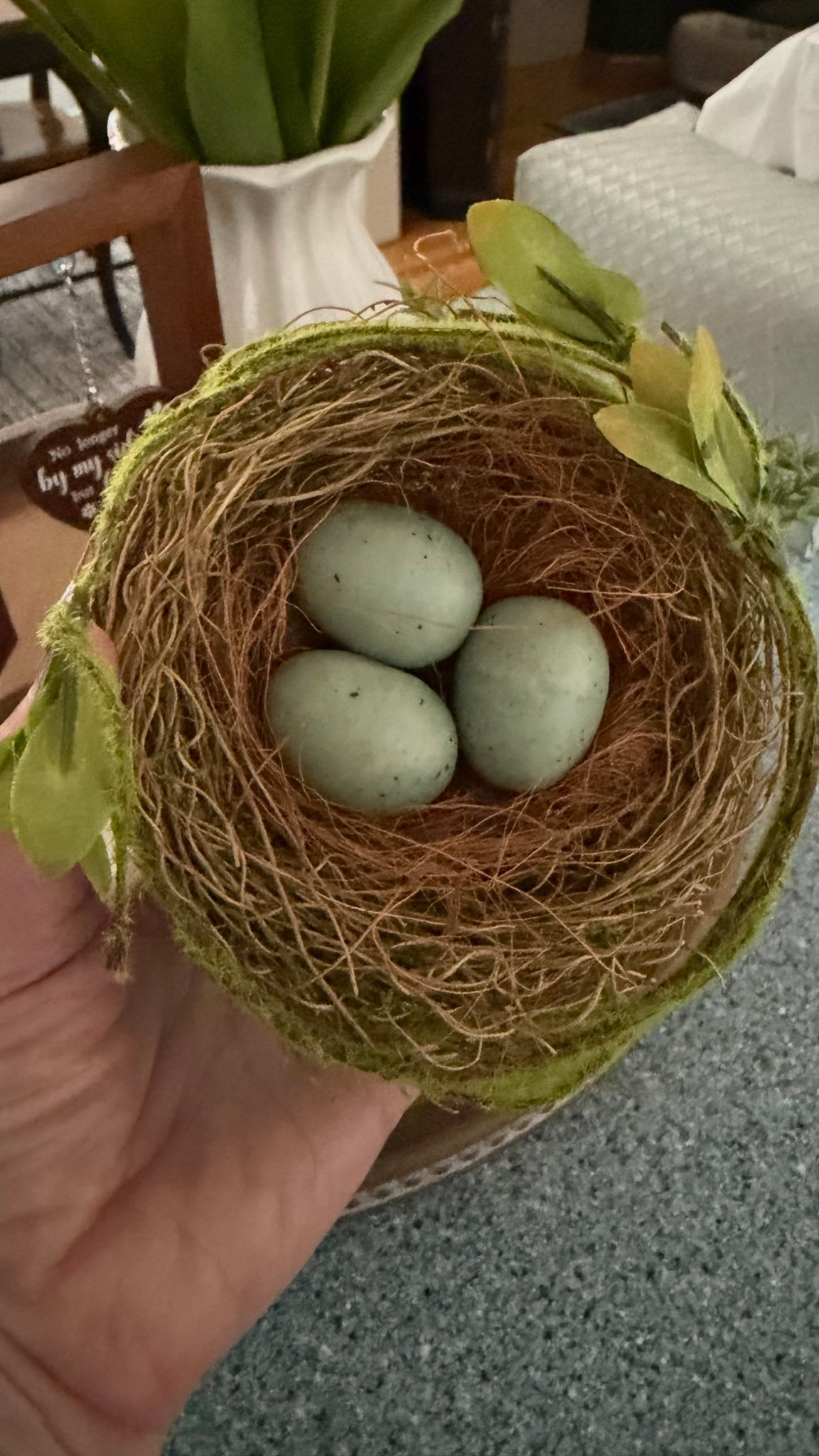 Sweet bird’s nest for spring styling! This is a favorite of mine. Put it in a cloche, lantern, or accessorize a tray  

#LTKHome #LTKSeasonal