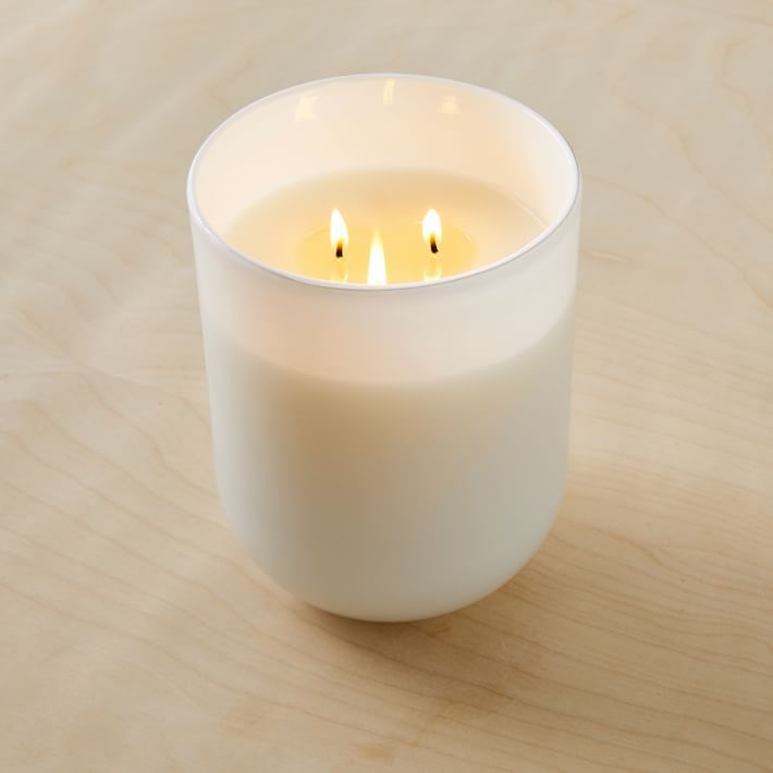 White Glass Candles - Marine Moss | West Elm (US)
