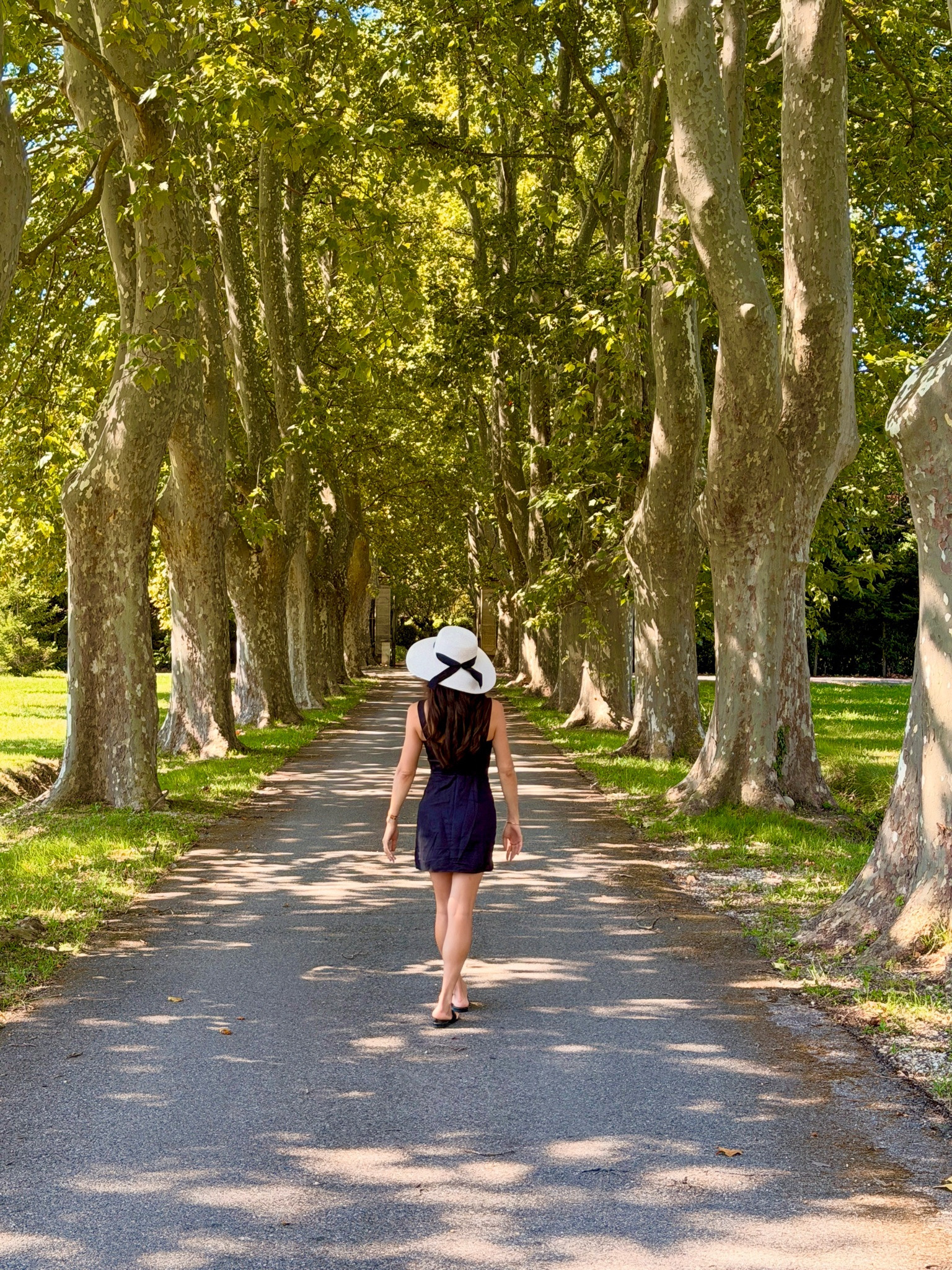 Afternoon stroll in South of France 🇫🇷