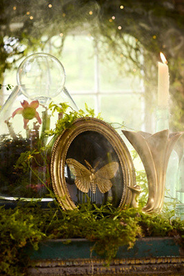 Terrain Golden Moth Shadow Box | Anthropologie (US)