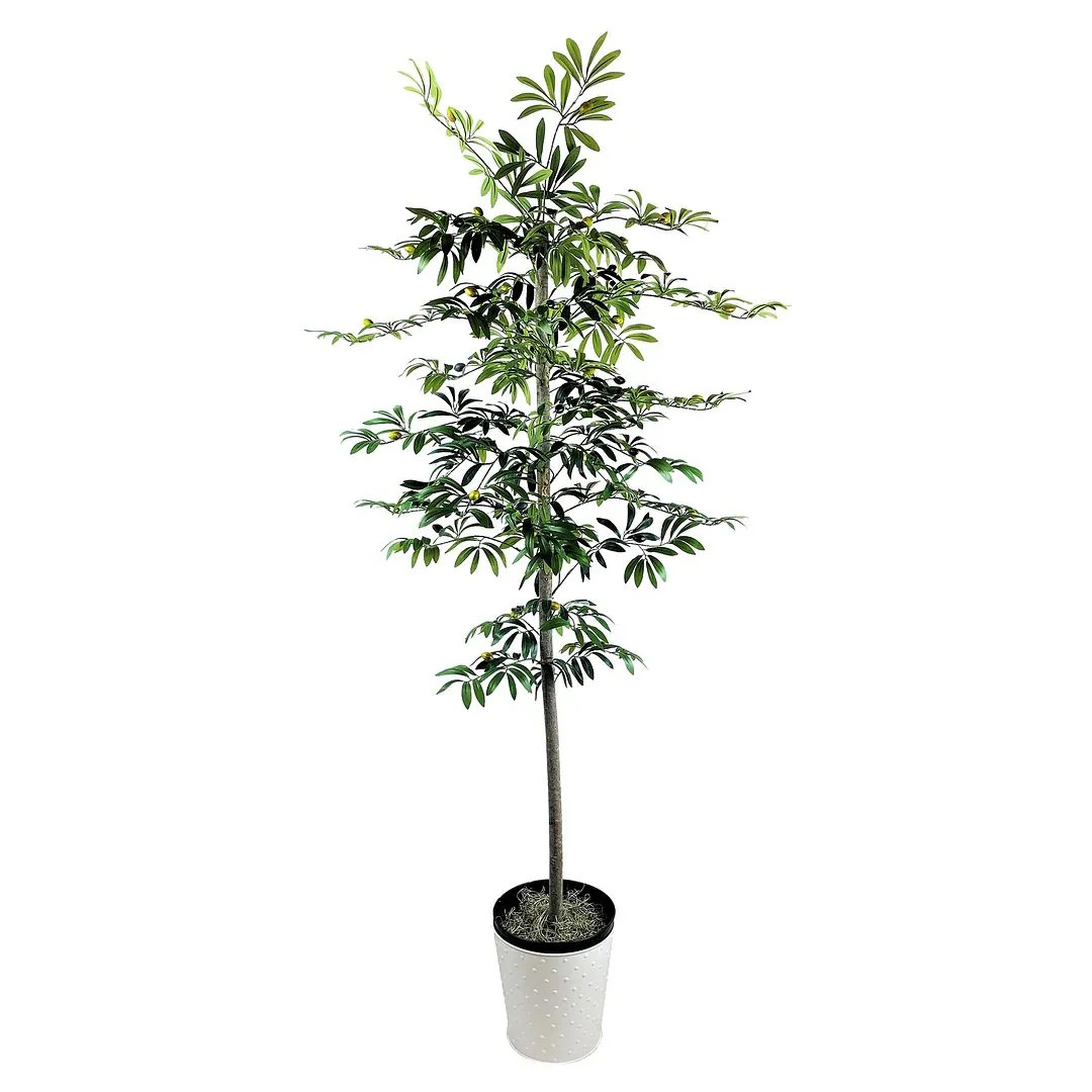 6-foot Artificial Olive Tree in White Metal Base | Bed Bath & Beyond