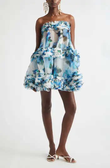Alchemy Floral Silk Organza Ruffle Minidress | Nordstrom