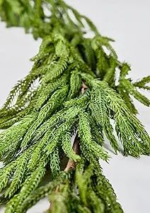 Afloral Real Touch Norfolk Pine Garland - 180" Long | Amazon (US)