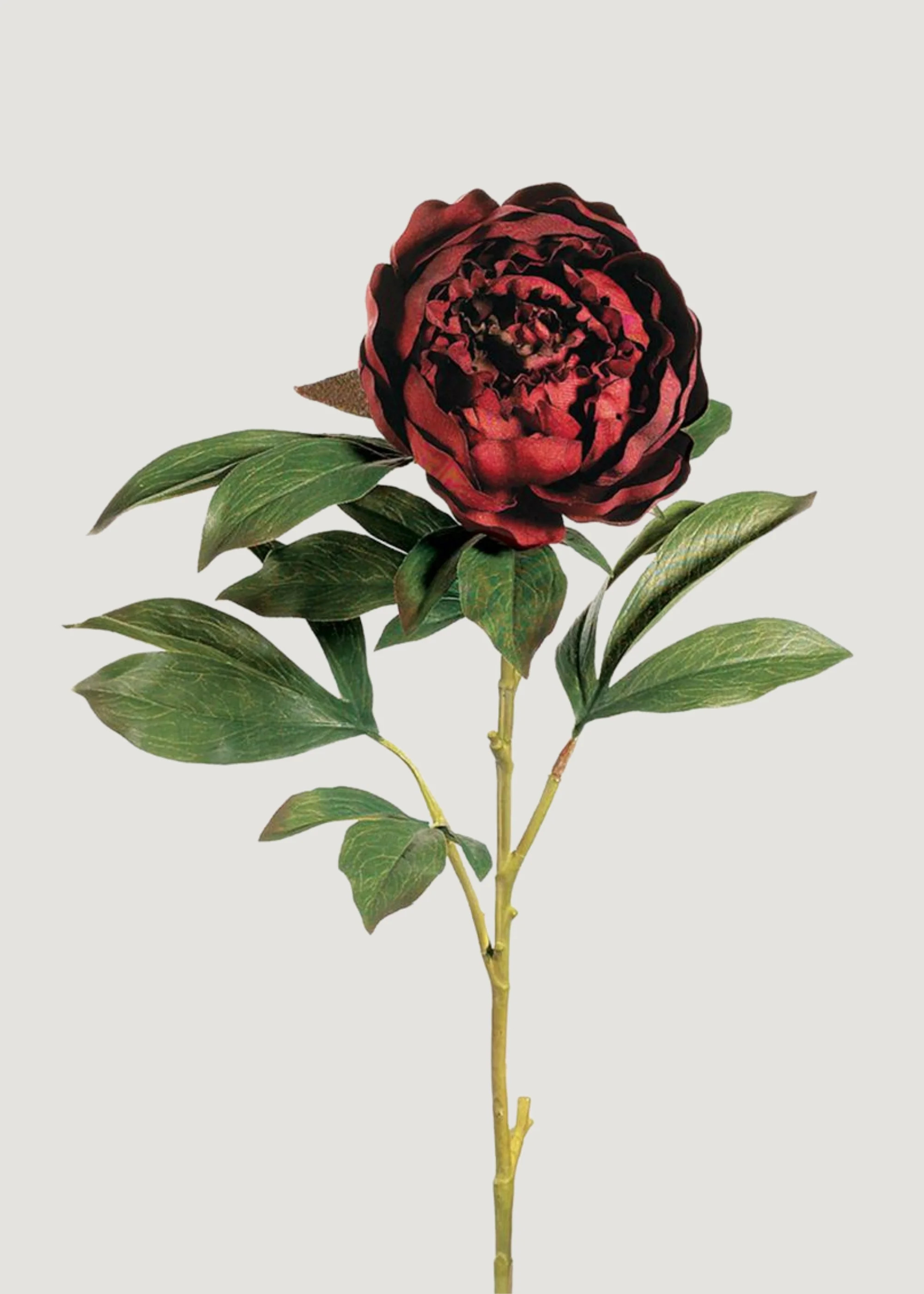 Fake Peony Flower in Burgundy - 30" | Afloral