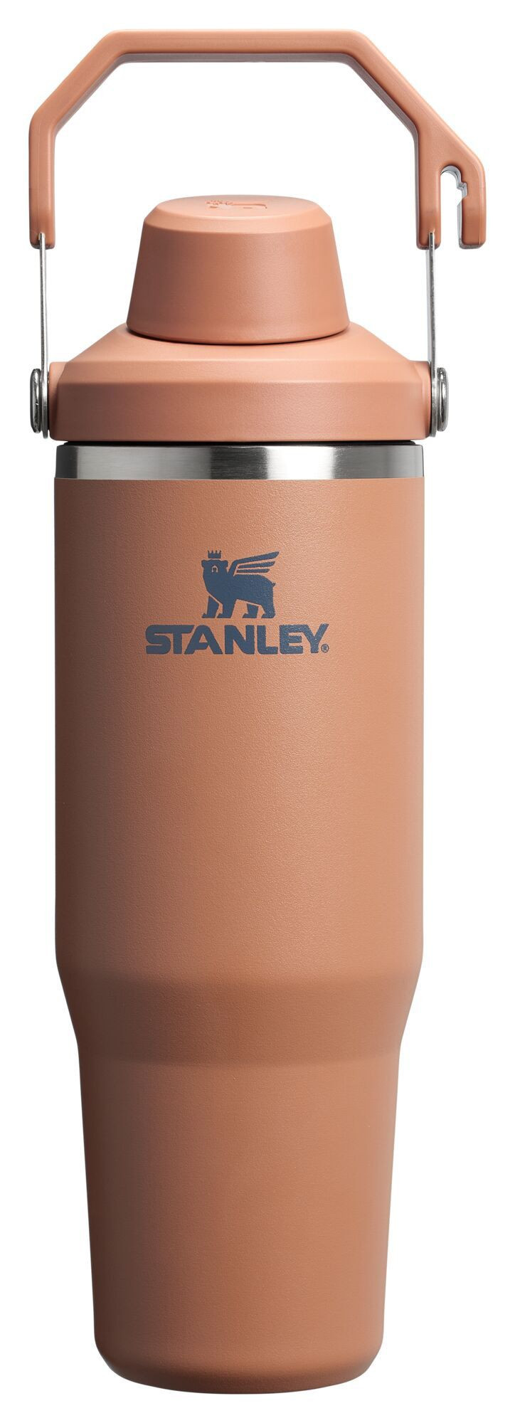 Stanley 30 oz. IceFlow Tumbler with Fast Flow Lid, Toast | DICK'S Sporting Goods