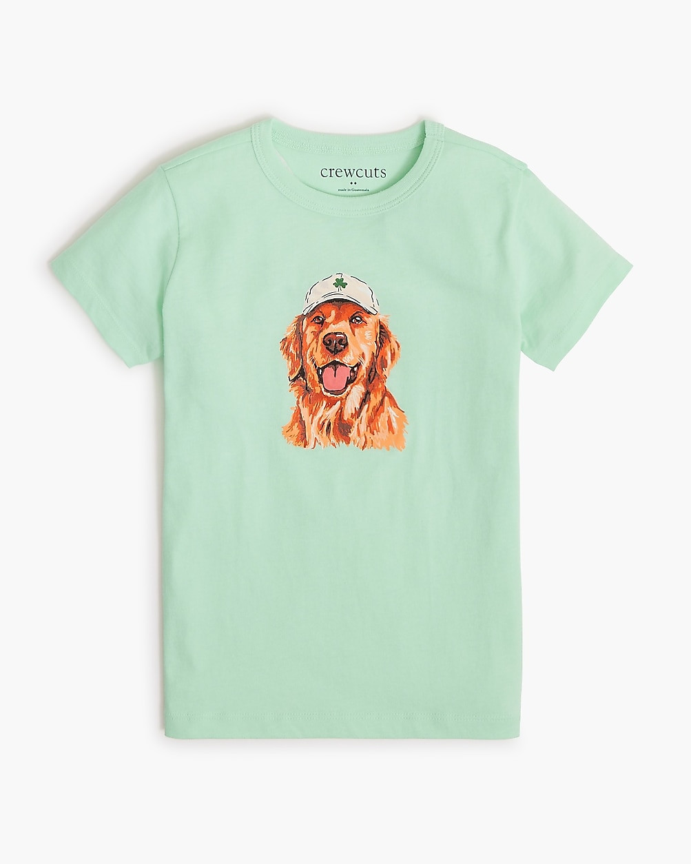 Boys' golden retriever in clover hat graphic tee | J.Crew Factory