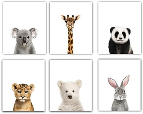 Baby Nursery Decor Pictures (8x10) | Set of 6 (Unframed) Cute Animal Photography Wall Prints for ... | Amazon (US)