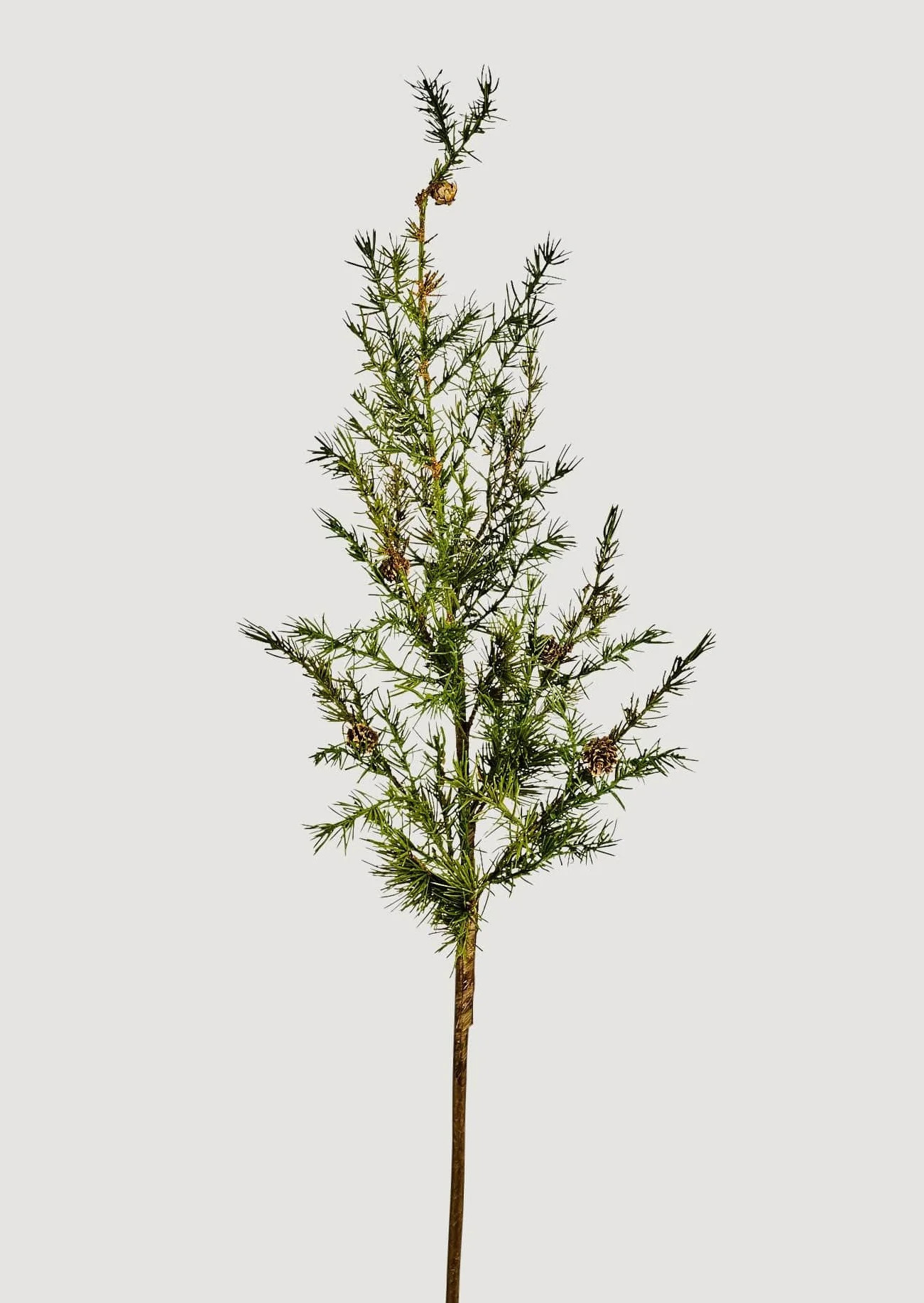 Artificial Winter Hemlock and Pine Cone Branch - 44" | Afloral
