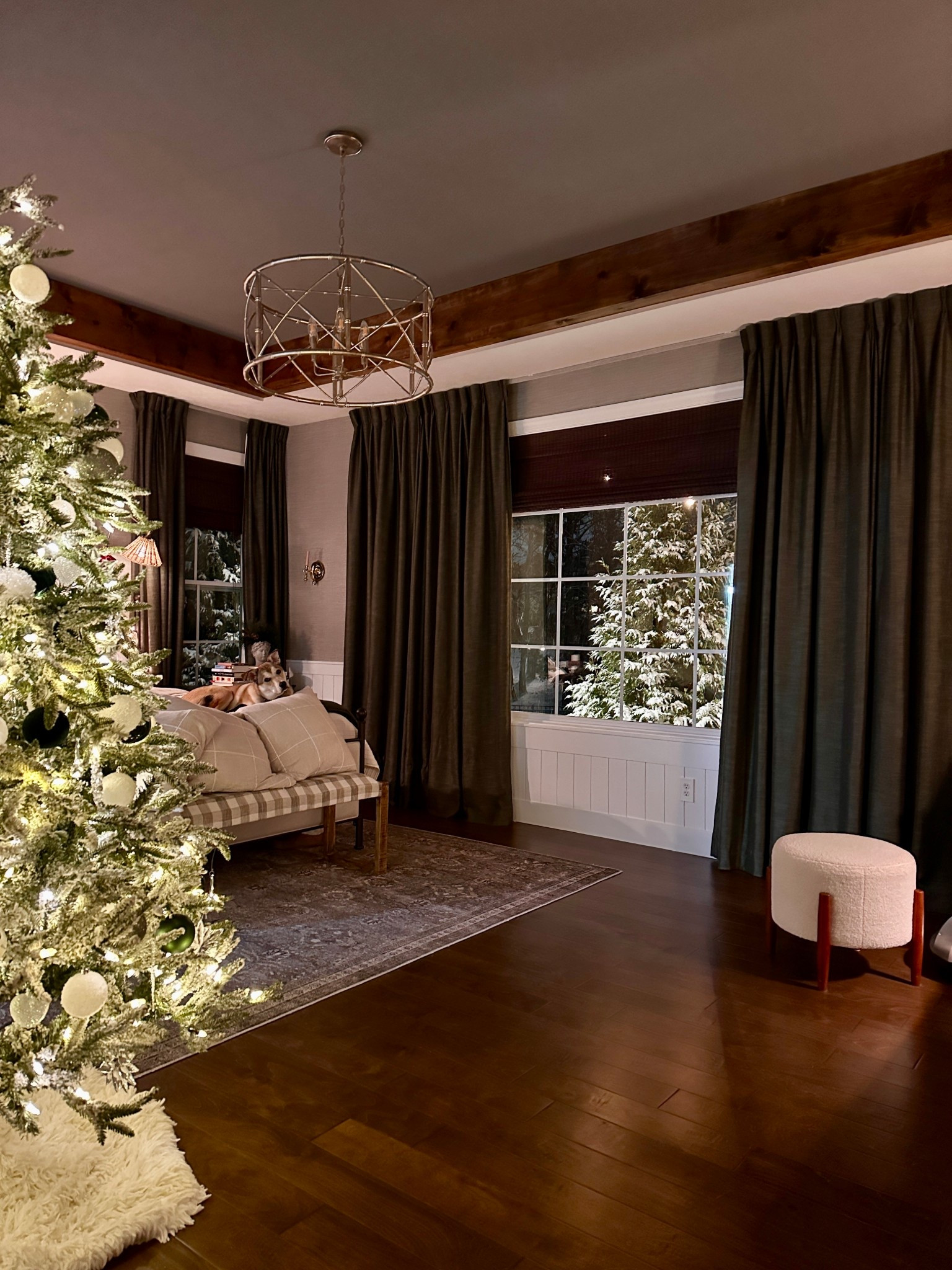 The view from our windows tonight! 🩵❄️ 

#LTKHoliday #LTKHome #LTKSeasonal