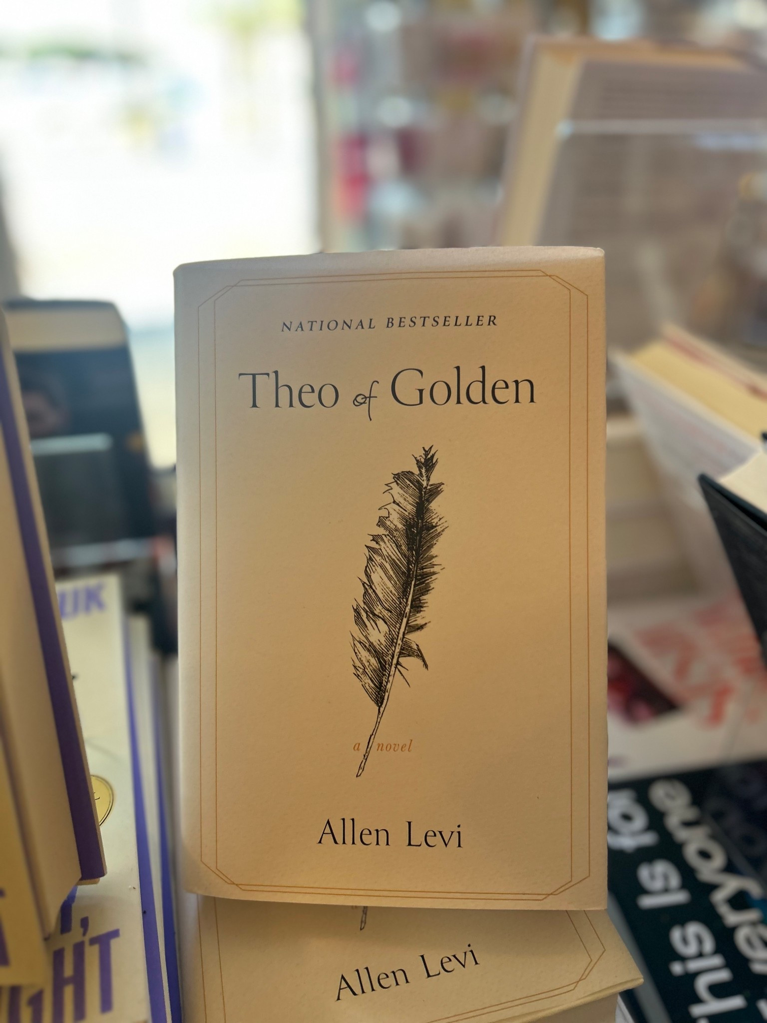 We’ve been Allen Levi fans since I was a little girl… he would come to our church and play! Now he is a NYT best seller and I can’t wait to read this after hearing so many good things. 

#LTKstorytime #LTKGiftGuide #LTKdayinmylife