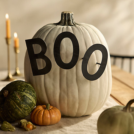 BOO Pumpkin Stake Set | Terrain