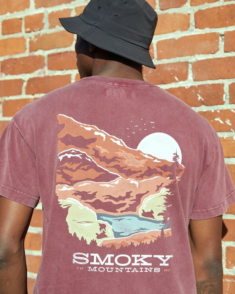 Relaxed Smoky Mountains Park Graphic Tee | Abercrombie & Fitch (US)
