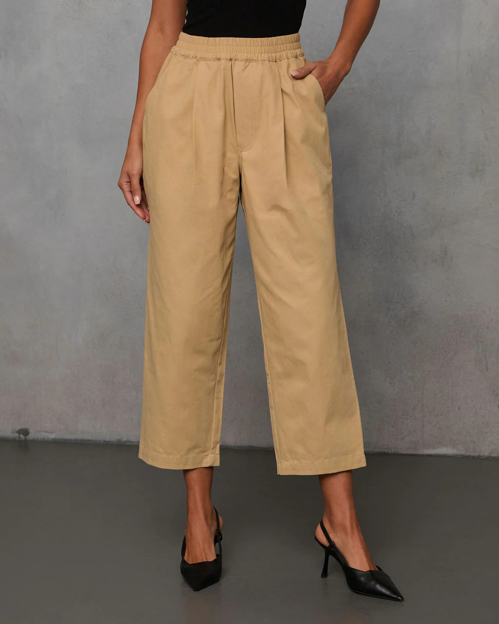 Rennes Cropped Pleated Pants | VICI