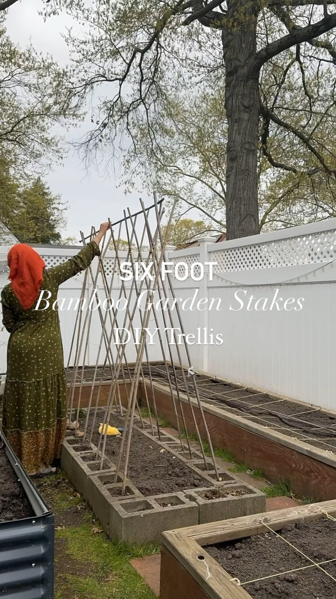 6’ bamboo garden stakes for trellising tomato’s, peas, or any climbing plant  

#LTKsalealert #LTKfamily #LTKhome