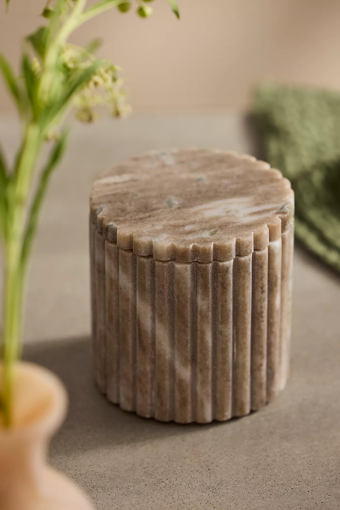 Scalloped Marble Canister | Terrain