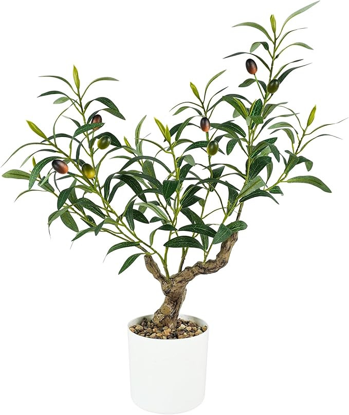 Fake Olive Plants 2FT, Artificial Small Olive Tree Indoor, Faux Potted Plants Decor for Tabletop,... | Amazon (US)