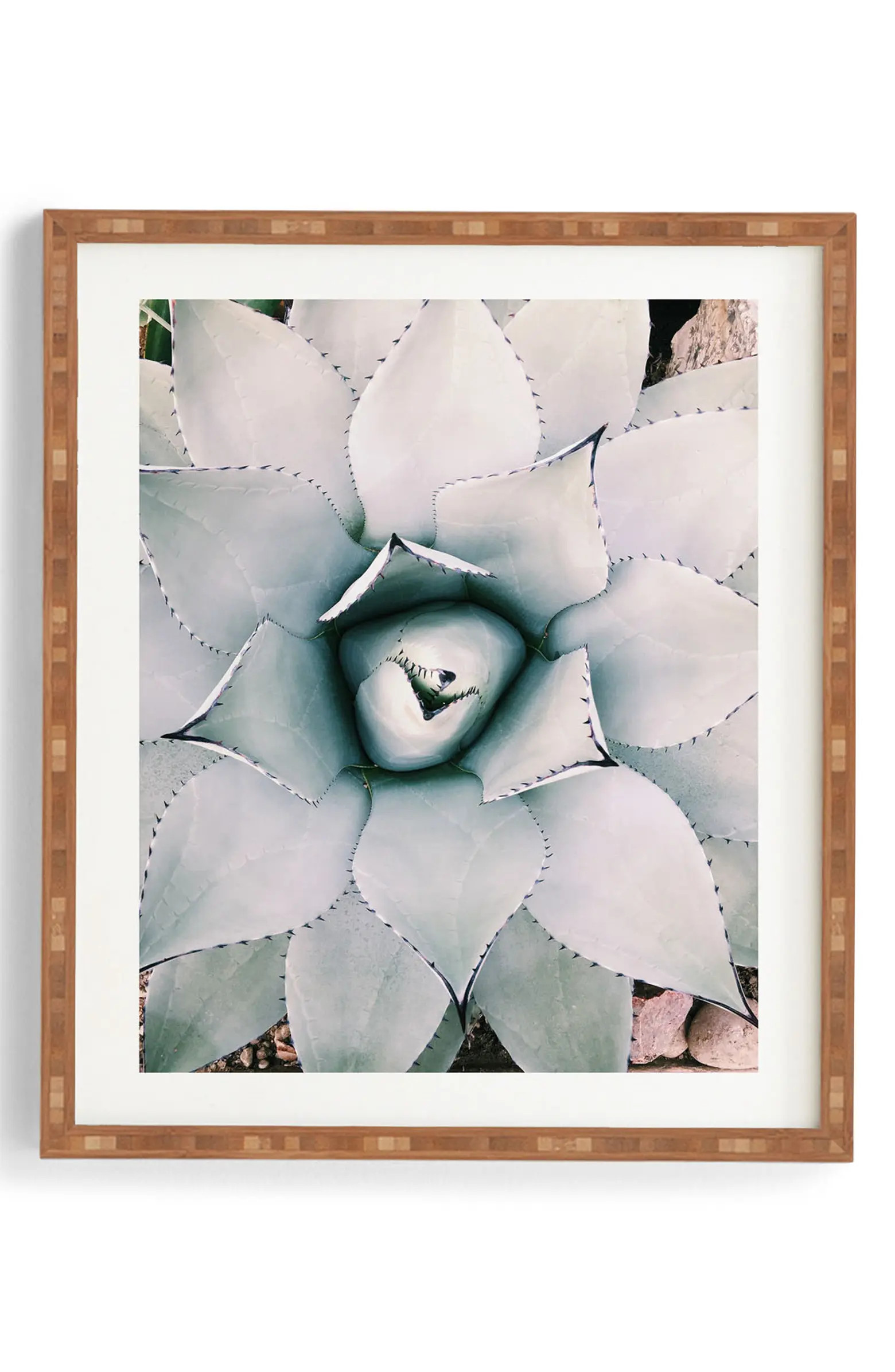 My Desert Rose Framed Wall Art | Nordstrom