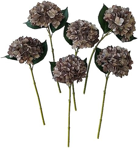 Brown Hydrangea Artificial Flowers,6 Pcs Faux Hydrangea Flowers,Artificial Hydrangeas Flowers wit... | Amazon (US)