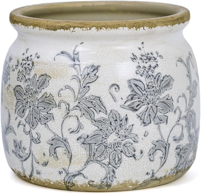 Dosayes Ceramic Pot for Planter, Vintage Flower Pot with Drainage Holes, 6.29 inch Ice Crack Glaz... | Amazon (US)