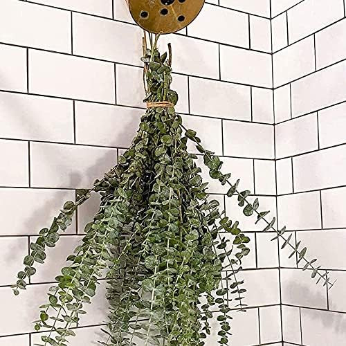 Dried Eucalyptus Branches Real Hanging Eucalyptus Stems Eucalyptus Plant Indoor for Shower Home D... | Amazon (US)