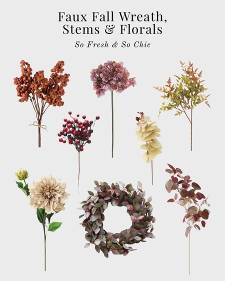 Faux Fall wreath, florals and stems! 
-
Afloral - faux berries - faux eucalyptus leaves - faux Fall decor - fake Fall wreath - fake Fall florals - fake Fall stems 

#LTKunder100 #LTKhome #LTKSeasonal