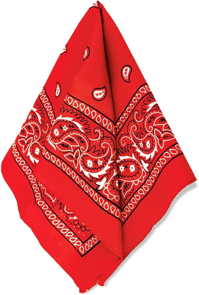 Amscan womens Paisley Bandana | Amazon (US)