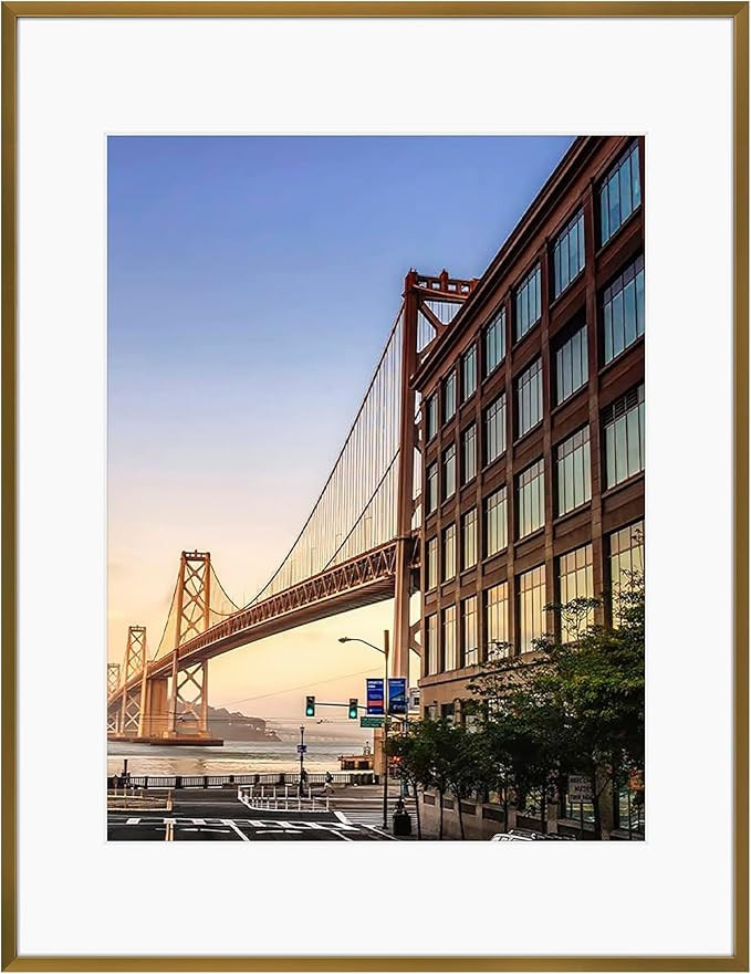 Frametory, 14x18 Aluminum Picture Frame - 14 x 18 Bronze Frame with Removable Mat for 11 x 14 Pho... | Amazon (US)