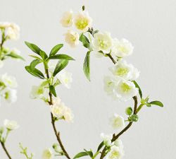 Faux Spirea Branch | Pottery Barn (US)
