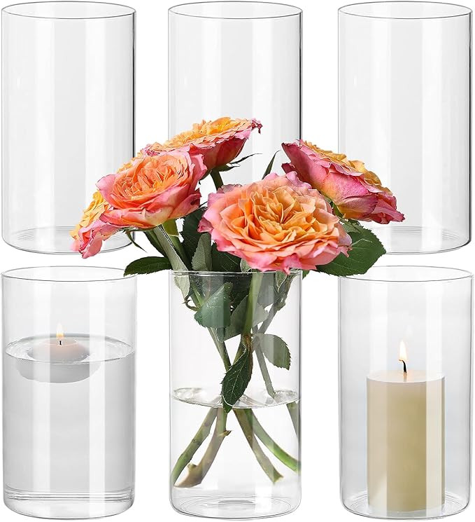 6 Pack Glass Cylinder Vase for Table Centerpieces, 6 Inch Clear Glass Flower Vases Bulk Glass Hur... | Amazon (US)