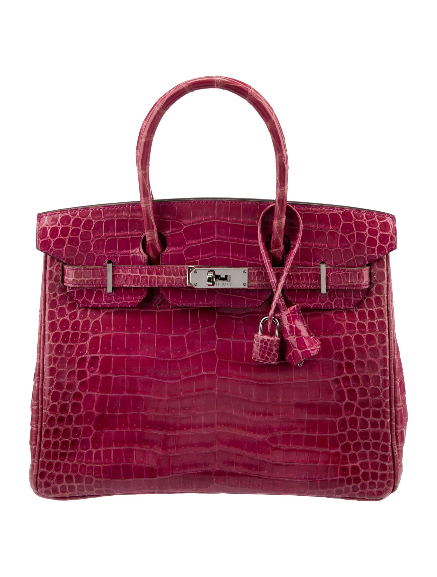 Shiny Crocodile Porosus Birkin 30 | The RealReal