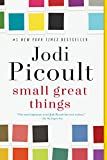 Small Great Things: A Novel    Paperback – February 20, 2018 | Amazon (US)