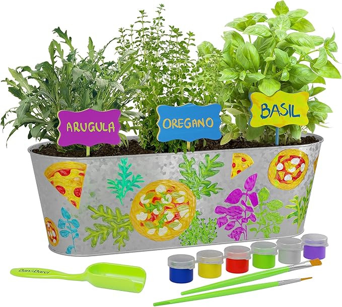 Dan&Darci Paint & Plant Pizza Herb Growing Kit - Grow Basil, Oregano, Arugula Herbs Garden : Incl... | Amazon (US)