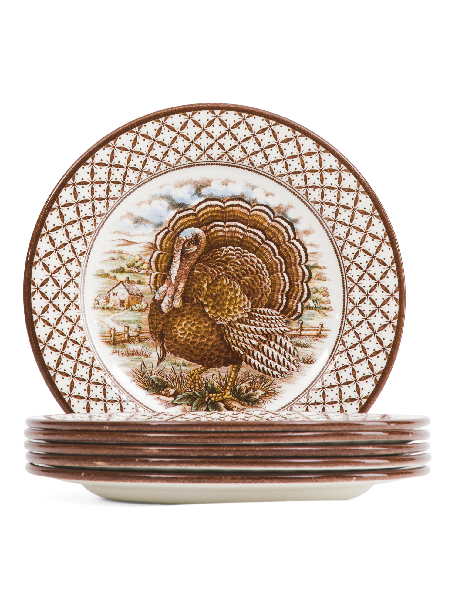 6pk Royal Stafford Harvest Turkey Salad Plates | TJ Maxx