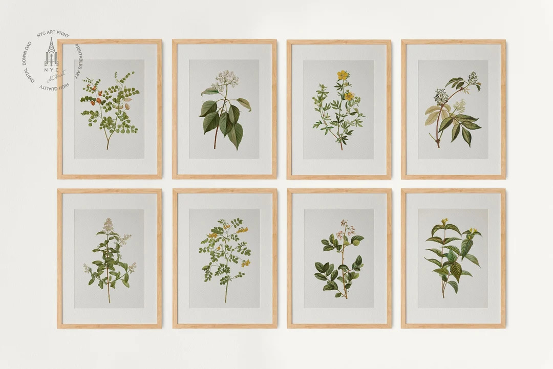 Vintage Botanical Prints Gallery Wall Set of 8 Floral Poster - Etsy | Etsy (US)