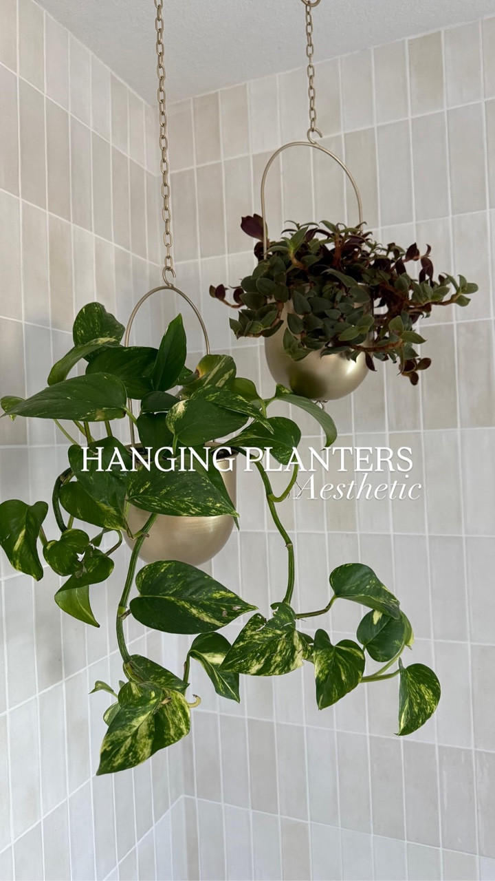 Hanging planters for your shower!


#LTKdayinmylife #LTKHome #LTKOver40