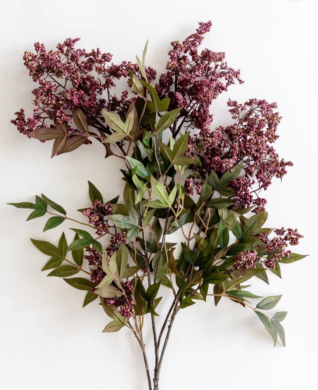 Gorgeous dusty plum stems!

#LTKSeasonal #LTKHome
