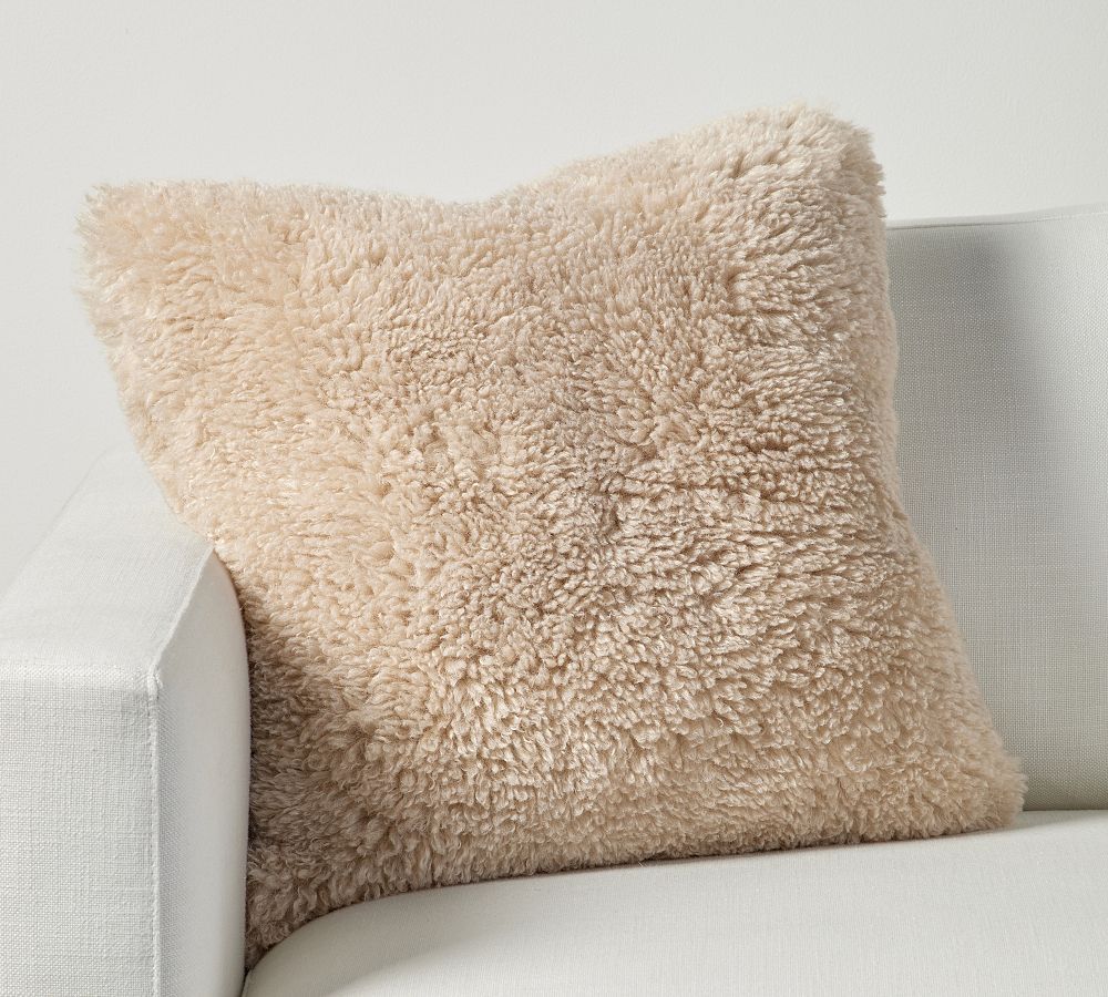 Dream Faux Fur Pillow | Pottery Barn (US)