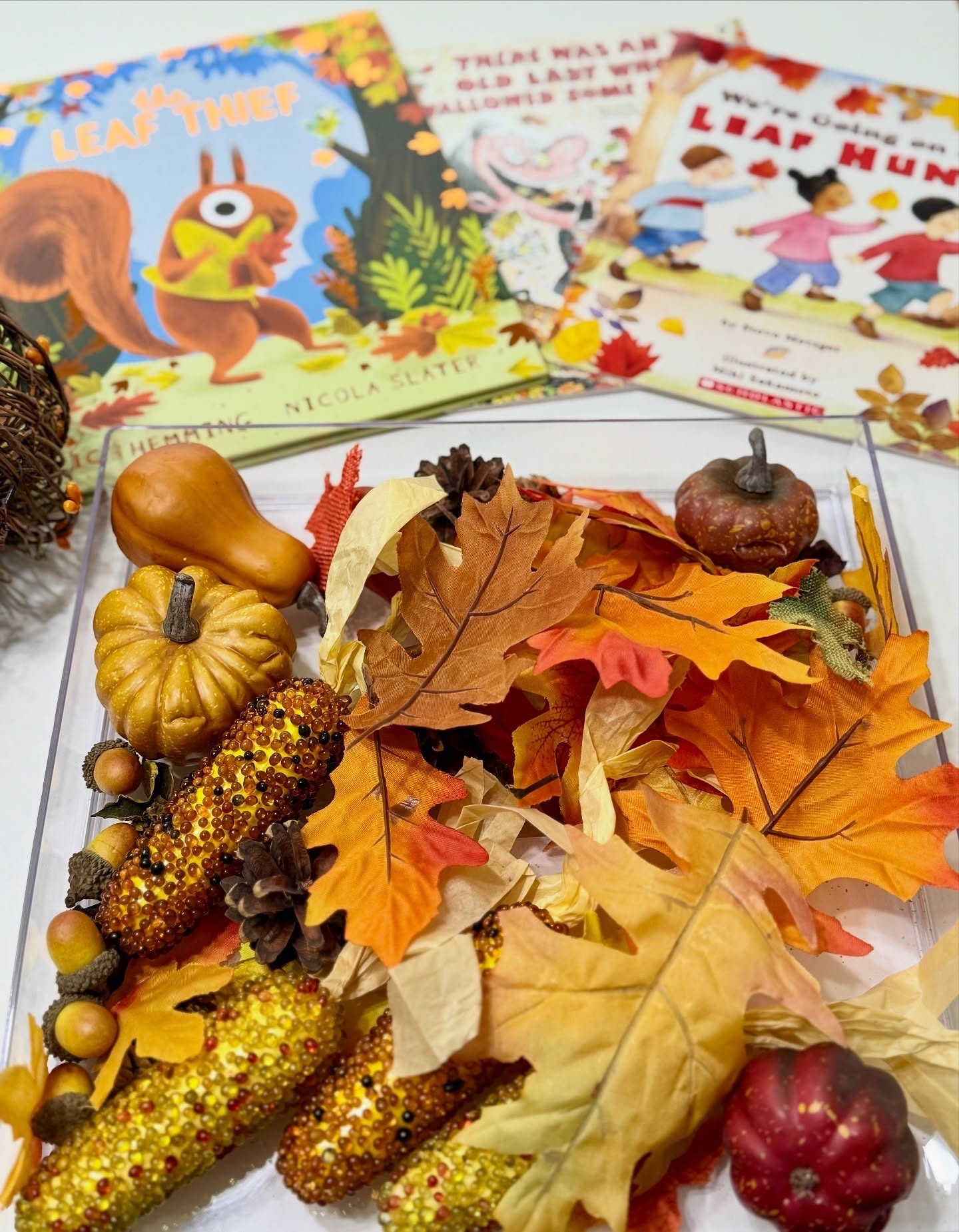 Books, leaves, pumpkins, and play… hello, fall 🍂✨

Falling for all the cozy things 🍂✨ Join us as we celebrate the magic of autumn. From pumpkin patches and apple treats to fall decor, baking days, and everything in between. Come sip, snack, and share the season with us! 🎃🍎🧡 

#firstdayoffall #kidsbooks #themedbooks #autumnvibes #sensorytray #sensoryplay

#LTKKids #LTKSeasonal #LTKFamily