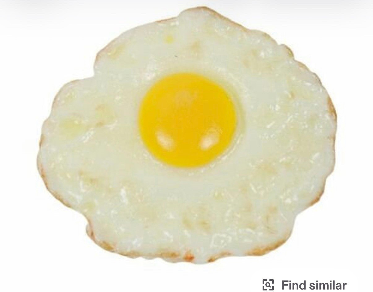 fried egg- fake food plate wall
