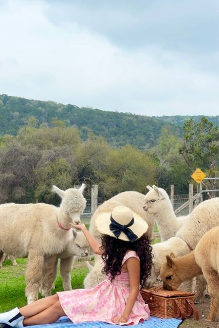 Getting cozy with alpacas at Tierra Prometida Ranch, wearing my pink floral print mini dress, straw hat with black ribbon, and white Chelsea boots.

- travel outfit, vacation outfit, seasonal outfit, holiday outfit, fall outfit, thanksgiving dress, spring dress, spring outfit, date night outfit, date outfit, party outfit, trendy ootd, fall fashion, walmart finds, work outfit 

#LTKparties #LTKwedding #LTKworkwear #LTKfindsunder100 #LTKfindsunder50 #LTKtravel #LTKstyletip #LTKGiftGuide

#LTKGiftGuide