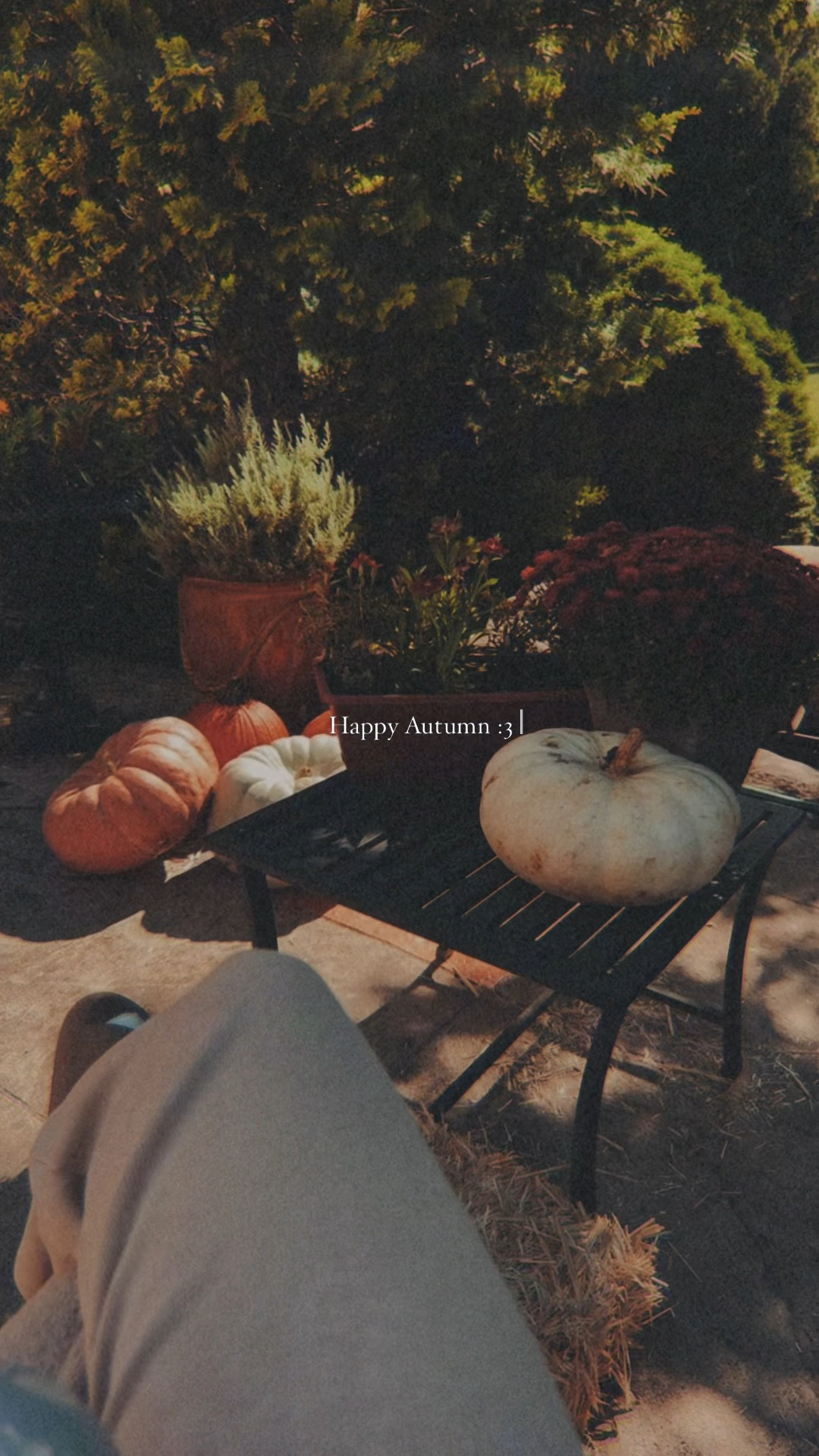 Happy first day of fall! 🍁
I’m starting early this year and so are brands. I couldn’t find it online but I bought my adorable mug from T.J Maxx. Also run, don’t walk because Walmart has pumpkins right now for $4.50 each! As always I’ve tagged alternatives 🍄

#LTKSeasonal #LTKHome #LTKFallSale