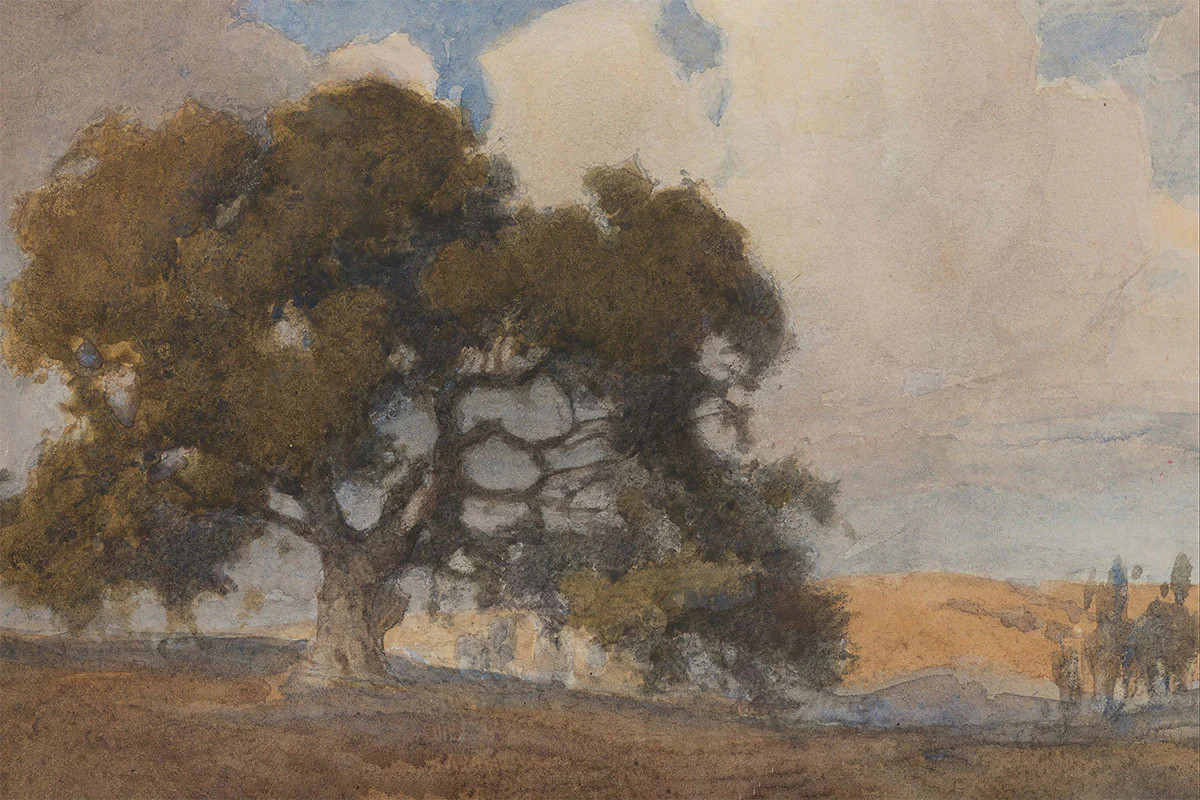 Oak Tree | Juniper Print Shop