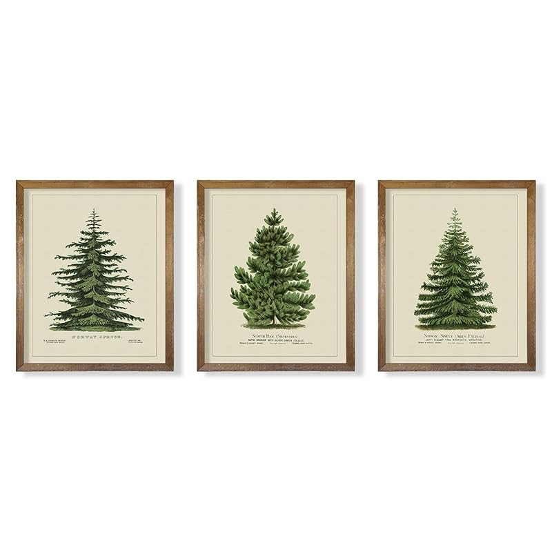 Vintage Farmhouse Holiday Wall Decor - Norway Spruce Scotch Pine Gallery Wall - Winter Pine Bathr... | Amazon (US)