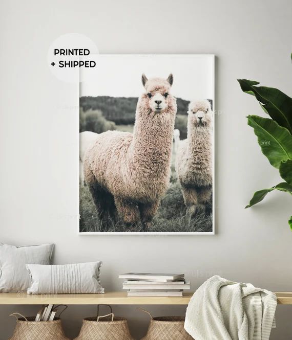 Llama Print, Alpaca Art Print, Boho Wall Art, Alpaca Wall Art, Animal Print, Llama Photography, F... | Etsy (US)