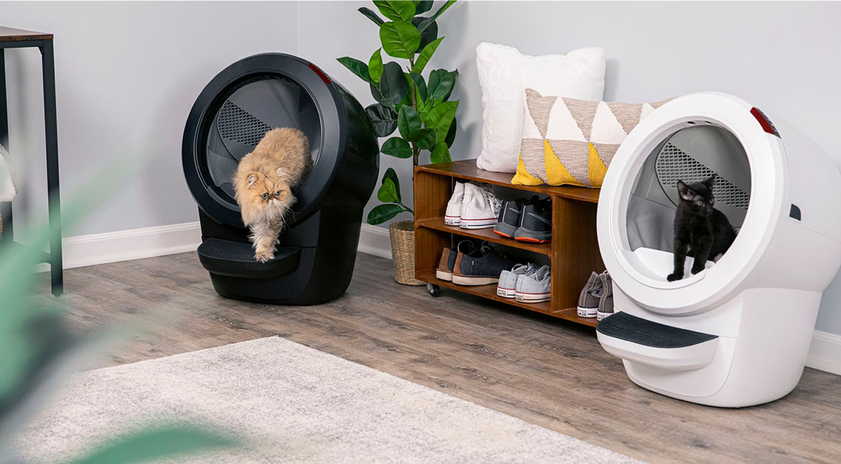 LITTER-ROBOT 4 with Step & Core Accessories Kit Cat Litter Box, White - Chewy.com | Chewy.com