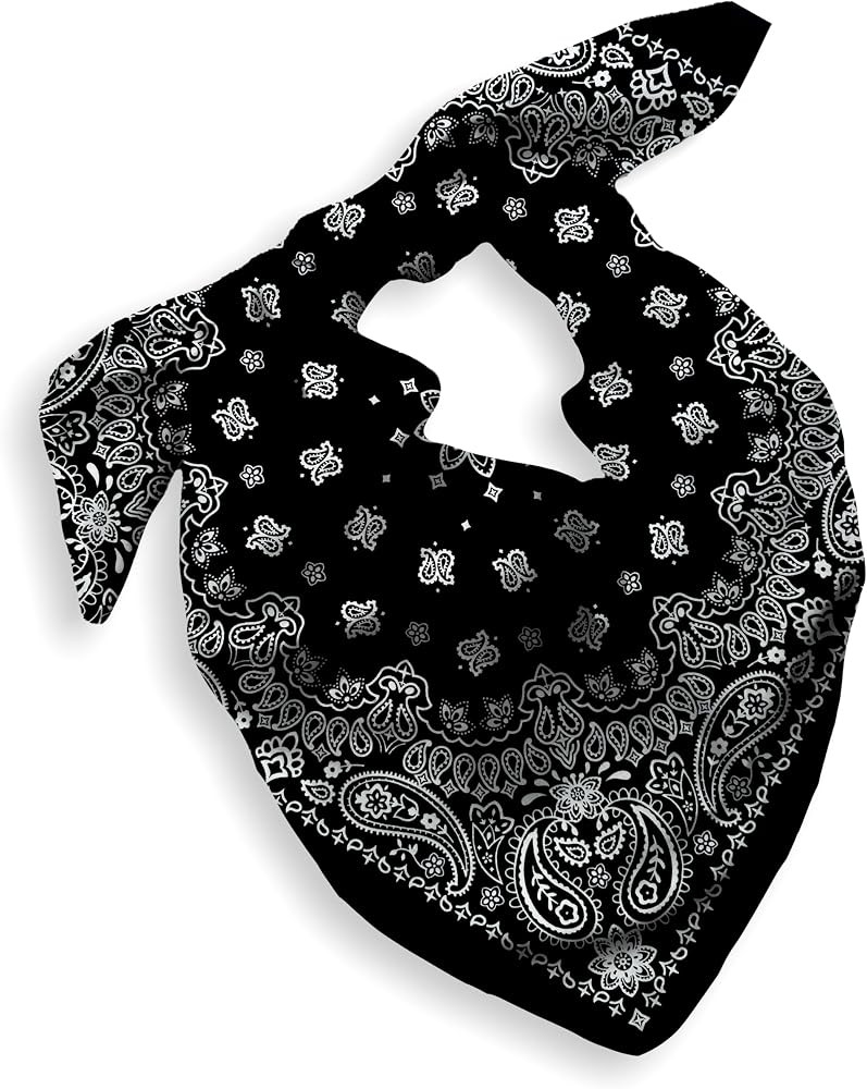 Gift Packaging Bandana for Men Women - 100% Cotton, Paisley, 22x22 In, 1 Pack - Large Bandanna Ha... | Amazon (US)